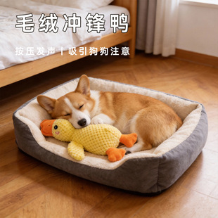 �������ë�q����ҧĥ���l���˽␞С����Ȯ����l���С�S��