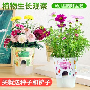 �������}�׃��@ֲ�九��ͯ�NֲС�����^��ֲ�����L���IȤζС�Y��
