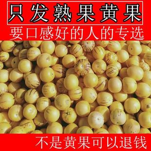 ��Ȼ��10/5/3��ʯ���˅����A��������r�Lˮ�������خa�ЋD������