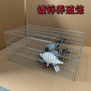 �g���Bֳ���\���u��B�����Bֳ�\�û\��̖��\�F�\�g���\����