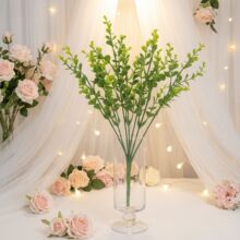 ����С�ȼ����Gɫ��������ֲ��Gֲ�����b�35Ŀ���X�ݷ���ֲ��