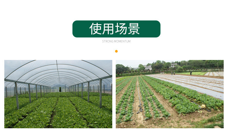 13106730643_367410659