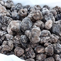 Black truffle frozen black truffle boar mushroom black truffle sauce ingredients hotel frozen black truffle 3-5 cm