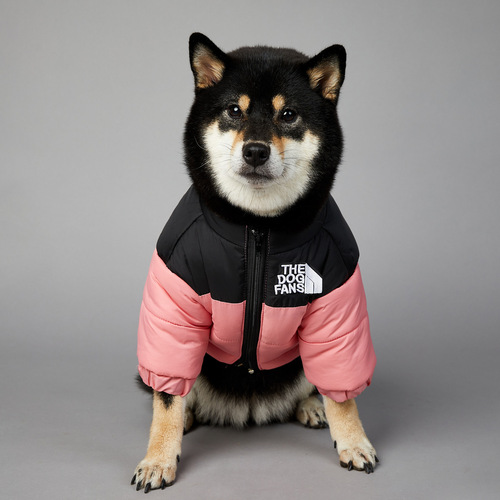 US Trend Brand Dog Face Windproof and Waterproof Large Dog Winter Warm Raincoat Pet Cotton Jacket Adventure Jacket