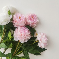 Export high-quality factory direct sale artificial peony 3-head peony flower home decoration sample room commonly used flower materials