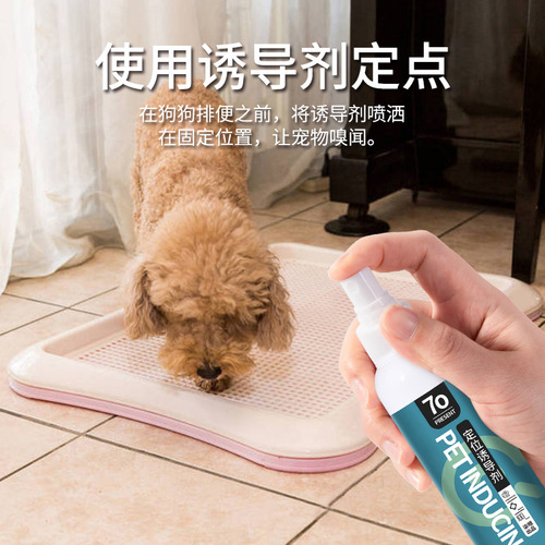 一件代发狗狗厕所诱导剂大小便定位定点排便训厕液宠物排便诱导剂