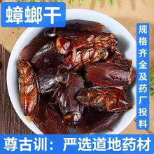 ���  ��ș�� ș������ ���� ���޴�� ��ĥ�� �н�ӆ��