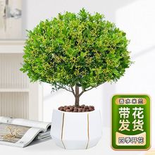 ��ˮ���m�����Ԏ����Gֲ�҃��ļ��_�������̓����՚���ú��B����