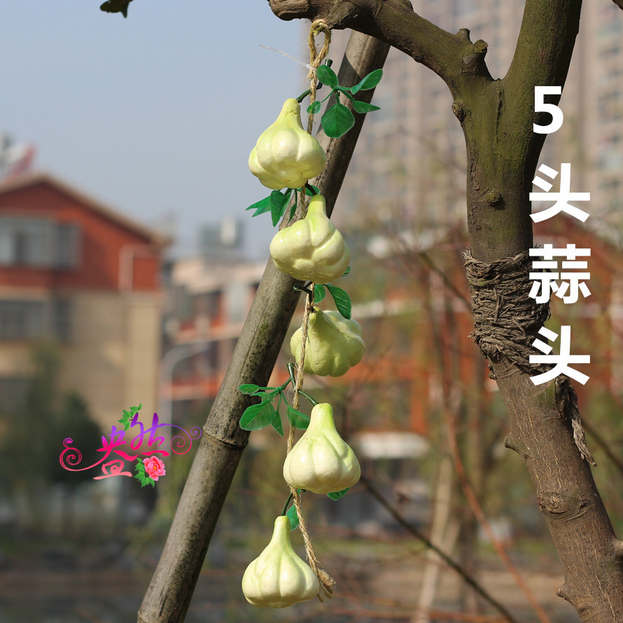 TB28HAOjXXXXXaIXpXXXXXXXXXX_!!