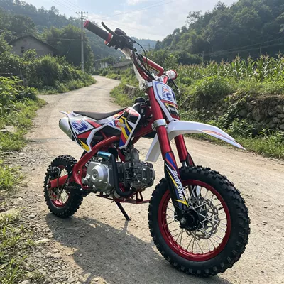 Motosikletlər Manufacturer, 110Cc Children's Off-Road
