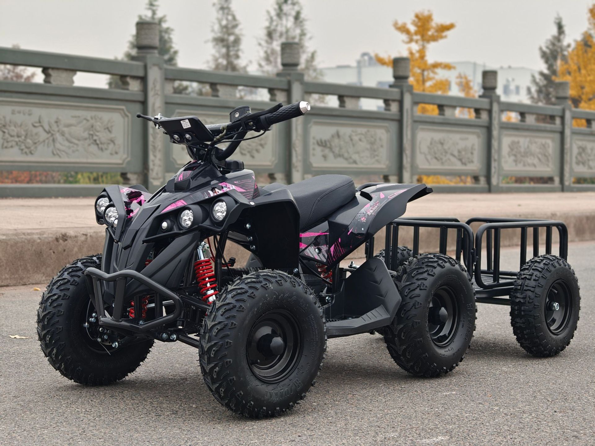 Small Overlord ATV Beach Motorcycle All-Terrain Vehicle Electric Scooter