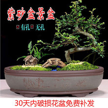 dEAش ɰŘ辰oˮɼɽбP]