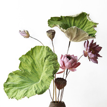 云南工厂批发中式插花家居装饰插花自然干荷花干莲蓬干莲花干花束