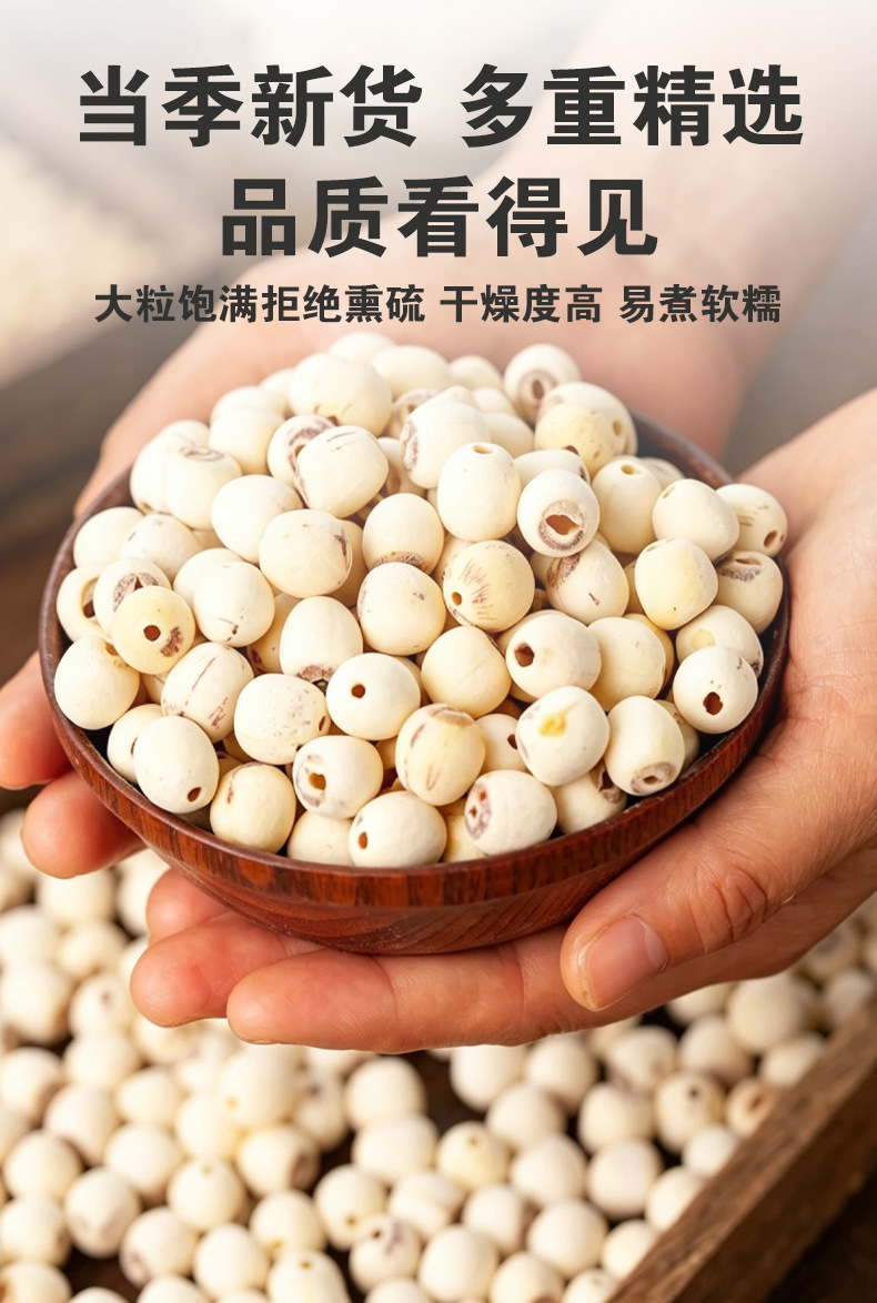 Lotus Seed (Nelumbo nucifera) — Hunan White Lotus Seeds, Core-Removed, Sulfur-Free, 500g in use