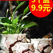 �����մɴ�̖���бP���Ä��₀�Լ��þG�}���m���⻨��