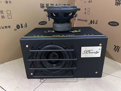 Car Subwoofer 8-inch Car speaker/subwoofer