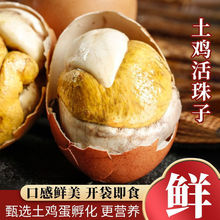 ��Ҏ�������]�����P�u�ߵ��������u����13�����u���uϲ