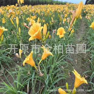 �|�����������С�����ݱ�������ͥԺ�ر��������������aֲ��