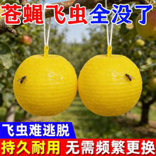 �Tω����ٴ�ωճ�x��ᘷ��T����z�Ϲ�ω�����С��ω�T�aճ��