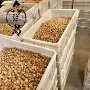 ��ؐ���B��ؐ������ؐ�Y�и�ؐ500g һ�����l �˳ɸɶ������]