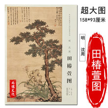 明 沈周 田椿萱图 中国画教学大图临摹范本明四家花鸟花鸟画挂图