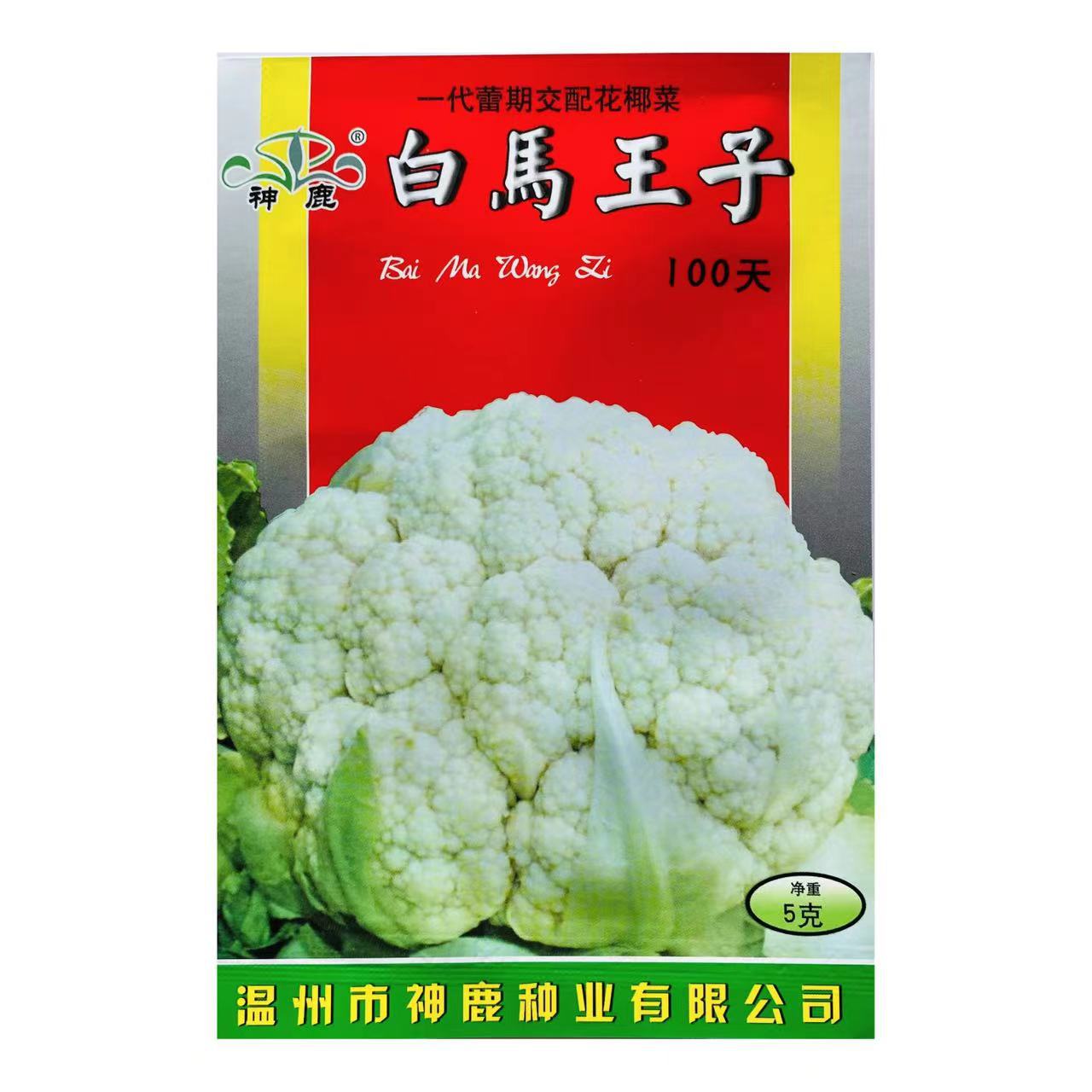 耐寒高品质结实重叠 菜花雪白紧密 好吃美味东方明珠花菜子