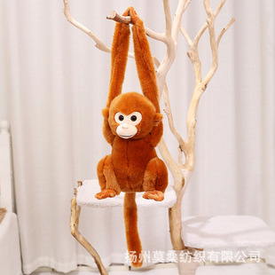 �羳�L��׃Ę��z�﹫��ë�q��߄���촰����ż�������ż���l