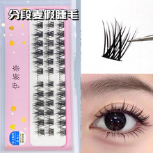 �����ηֶ�������������3�Ŵ������b�ֶ�ʽ����С��ħ�޽�녶�