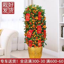 �V�|��ۘ���Ӹ������Ә��_�I�^���҃ȿ�ʳ�ô������ش�1.5��