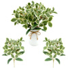 Simulation flower silver edge leaf simulation green plant leaves handmade flower art fake flower plant wall decorative ornaments with material wholesale