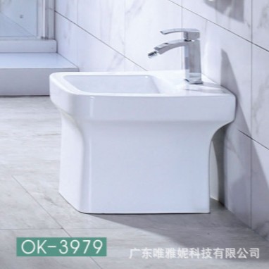 Lavadora para mujeres de piso de Veyani (OK - 3979), limpiadora europea, limpiadora corporal femenina, estilo europeo.