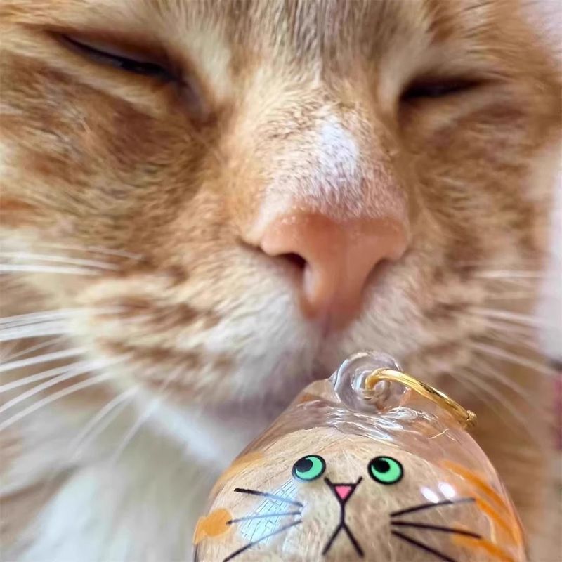 猫の毛収納オーガナイザーチャームガシャポン猫の毛収納カプセル記念収納ボックスペンダント DIY コレクター|undefined
