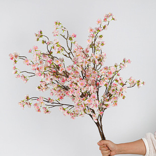 ��������ָ�ѻ���c �Ҿ��b��쾰�� ���滨��c���û����l��֦