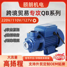 QB旋涡泵QB60/70/80清水漩涡泵AC220V/110V/127V太阳能板DC12V24V