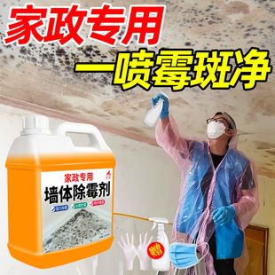 Wall Mold Remover Household Southern Wall Wallpaper Wall Mold Removal Mold Stain Mold Cleaner Spot Wholesale