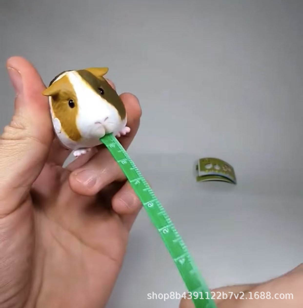 微信图片编辑_20250301202459