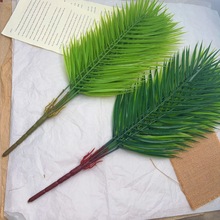 9�^����~50cm����ɢβ��ᘿ��~�٘��~������~��c�����F���~��