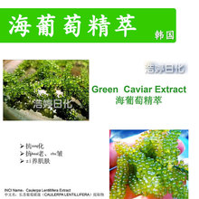 �n�� �����Ѿ��� �L�o����ާ����ȡ�� �o�w ���yƷԭ�� 100g