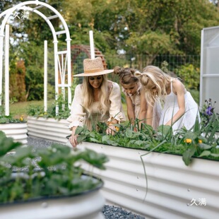 �ƄӷN�����̨�N�˽��ٷNֲ��Ͻ���һ�ײˈ@����