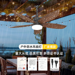 专利款IP65新款户外防水风扇灯庭院防雨小体积吊扇灯小包装灯具厂