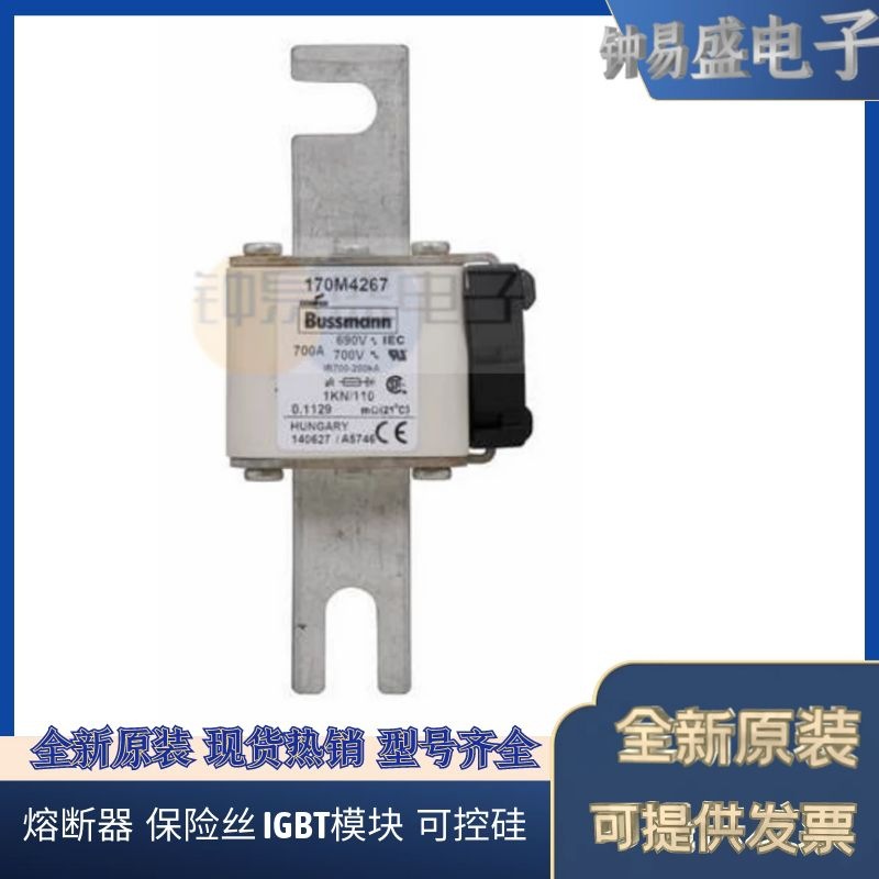 美国BUSSMANN熔断器170M5498  170M5499  170M5500 巴斯曼熔断器