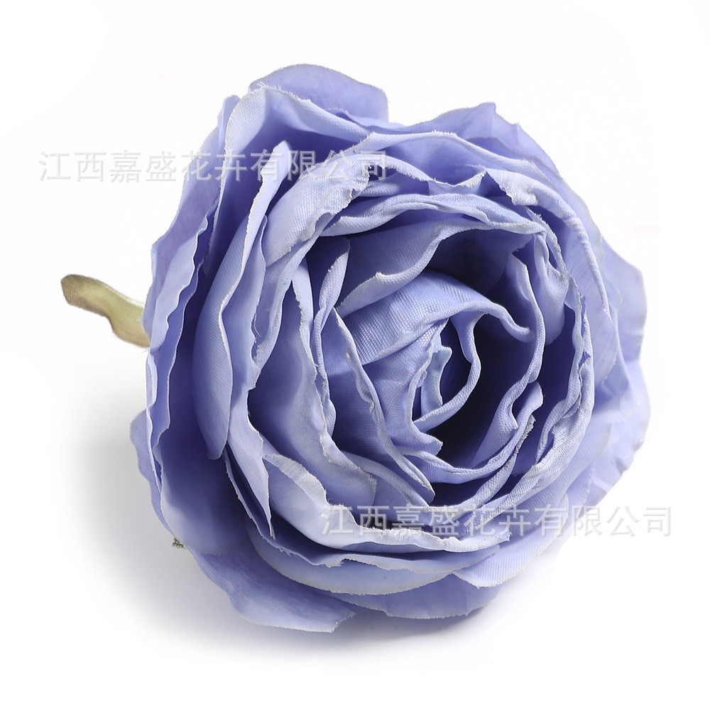 보라