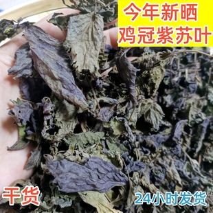 ��ɿ��r��ȫ�~���]�Fժ���K���K���K�~�K���~�߲����rʳ�����K�~