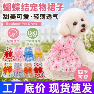 �ļ�����ɐی����·� �����Y��������b����ÿ�ͨ�D��ȹ��