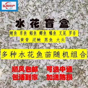 ˮ���~����b��ˮ�Bֳ���^���~���~���q����_�ǹS��ɳ�������ڼZ