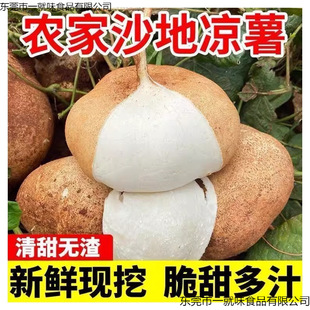 ���r������V��ˮ�������ش�����}��//���F��ɳ�ظ����׵ع�