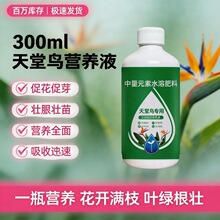 �����B���àI�BҺ �S�~��߅���_ �҃�����ֲ�ﻨ�� �������l