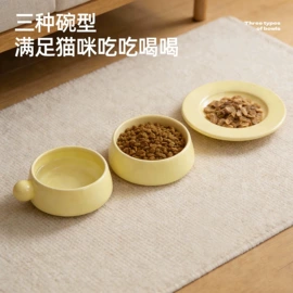 猫猫包、箱;猫猫玩具;猫厕所