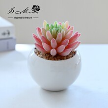 �����辰�մɼҾӔ[���b��A�S�ҾGֲһ�����l�ٻ�����