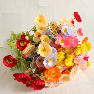 ����ֲ�q�����˽�����Y�����b�·������廨С���ڴ�ɫ���»�ˇ